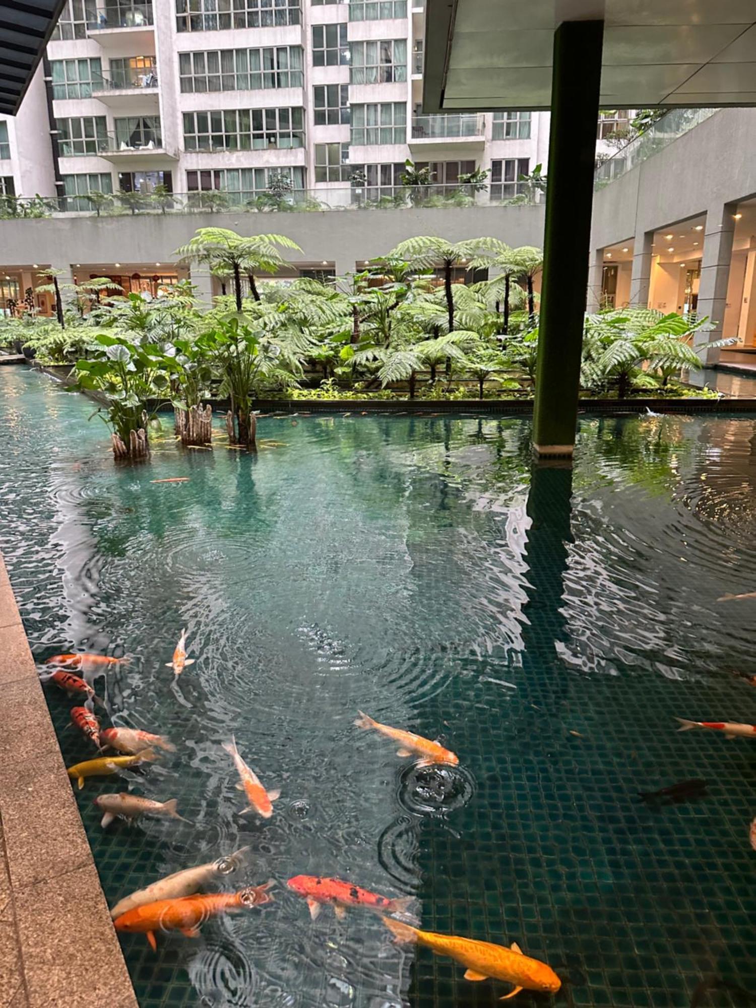 Modern Bauhaus Studio At Regalia Klcc Infinity Pool Kuala Lumpur Exterior foto